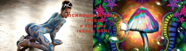 таблы Михайловск