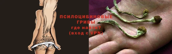 apvp Медногорск