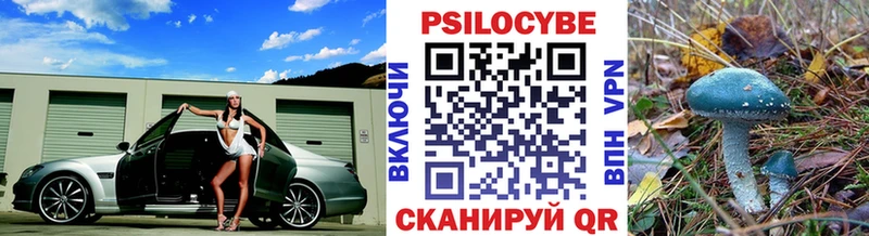 дарк нет официальный сайт  Вилюйск  Псилоцибиновые грибы мицелий 